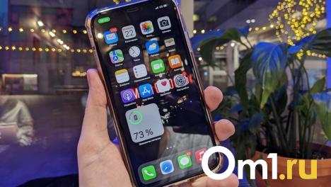 Молодая омичка решила подработать и лишилась 250 тысяч рублей