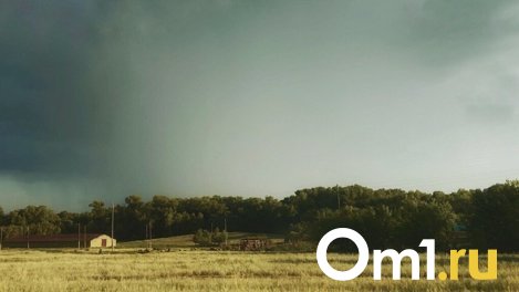 В Бердске проливной дождь со штормовым ветром повалили остановки и порвали линии электропередач