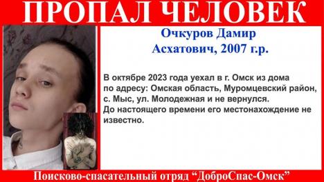 В Омской области пропал подросток во время пути из села в город