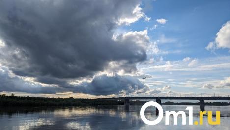 Синоптики пообещали жителям Омска комфортную погоду 26 июня