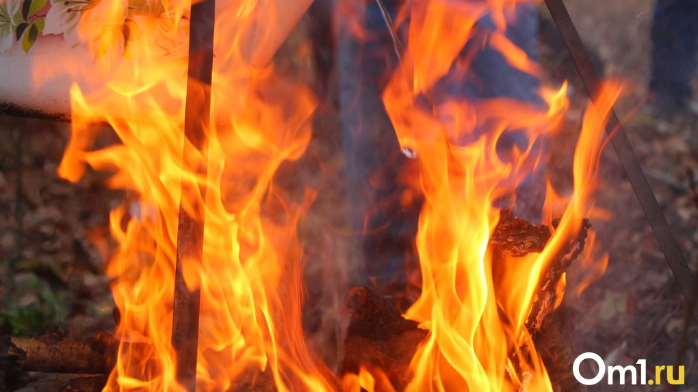 В Омской области жители деревни тушат горящее поле