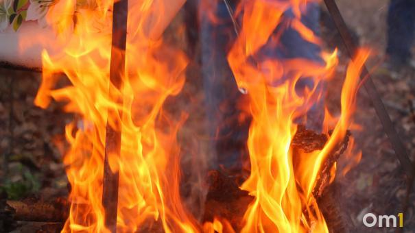 В Омской области жители деревни тушат горящее поле