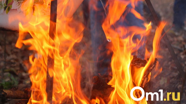 В Омской области жители деревни тушат горящее поле