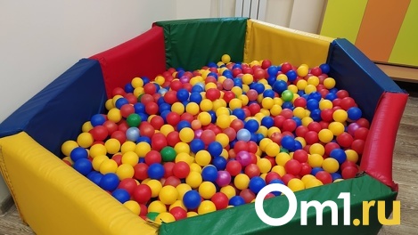 Отдали ребёнка незнакомцу: жительница Новосибирска обвинила детский центр в том, что у неё украли сына