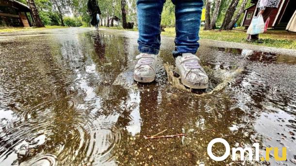 Погода в начале июля очень огорчит омичей