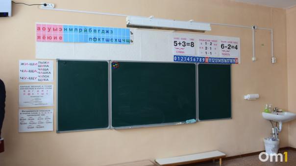 Омские школы и детсады будут защищать профессиональные охранники