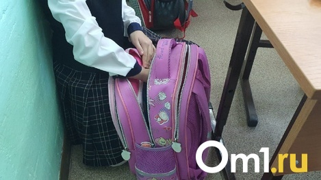 Жестоко избили девочку: 10-летняя школьница попала в больницу после драки в Новосибирске