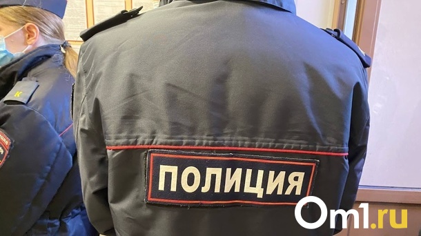 В Омске мошенники подделали документы, чтобы открыть пункт техосмотра