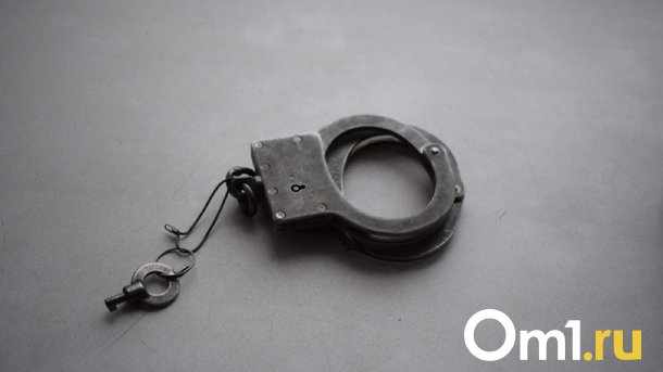 Омские росгвардейцы задержали мужчину, который был в федеральном розыске