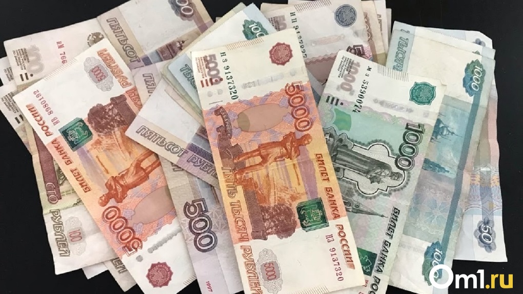 Федеральные власти одобрили выделение 613 миллионов рублей Омской области