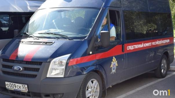 Глава СКР Бастрыкин потребовал доклад об объявлении о продаже ребёнка в Новосибирске
