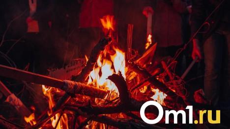 В омских лесах продолжают действовать ограничения из-за пожароопасной обстановки