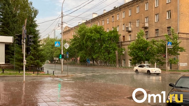 Дождливые дни: прогноз погоды на август опубликовали для новосибирцев