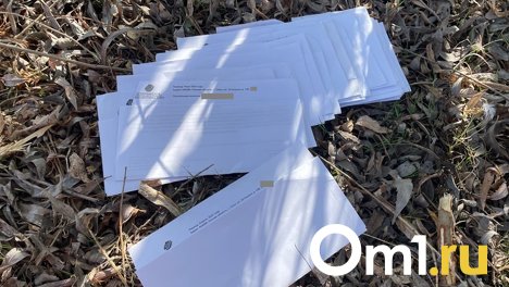 Огромную пачку квитанций омичам за капремонт нашли выброшенными в кустах на берегу Иртыша