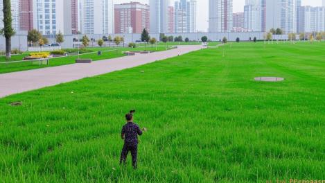 Тотальное озеленение — власти крепко взялись за газоны в Новосибирске