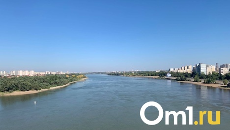 В загрязнении омских рек фенолом обвинили ливень и животных