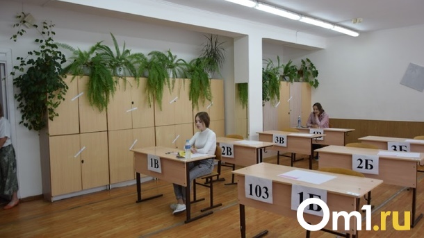 Выпускника из-за шпаргалки выгнали с ЕГЭ в Новосибирске