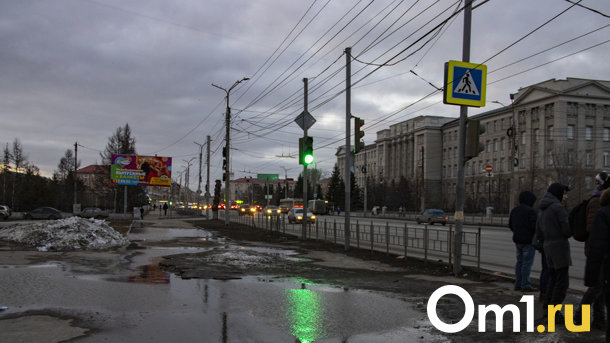 Переобуваться рано: на прощание от зимы в Омске ожидается мощный снегопад