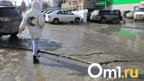 Новосибирцы возмущены обработкой дорог «Бионордом»