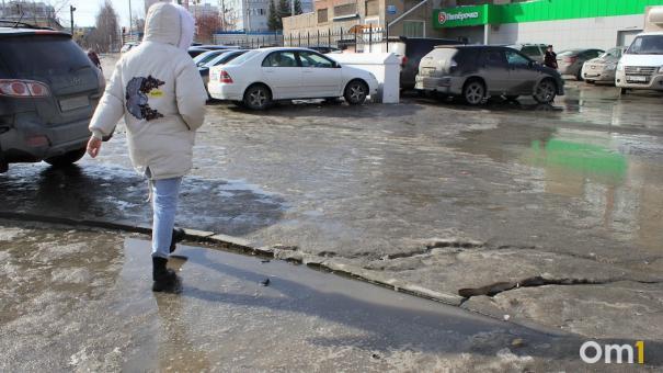 Новосибирцы возмущены обработкой дорог «Бионордом»