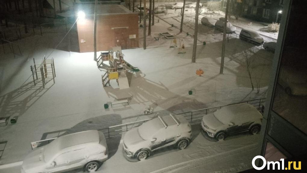 Последствия аномального снегопада ликвидируют в Новосибирской области