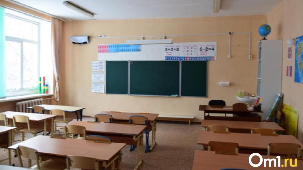 Власти выделили 18 миллионов рублей на ремонт спортзалов в омских школах