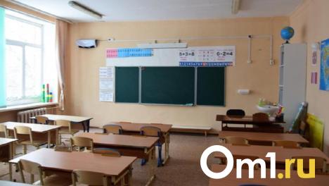 Власти выделили 18 миллионов рублей на ремонт спортзалов в омских школах