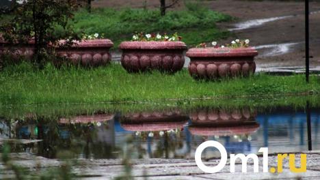 Синоптики опубликовали прогноз погоды на выходные в Омске