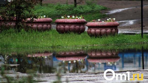 Синоптики опубликовали прогноз погоды на выходные в Омске