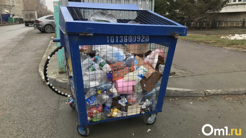 В Новосибирской области установят почти 1000 контейнеров для раздельного сбора отходов