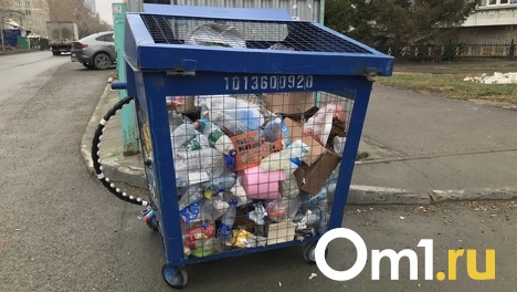 В Новосибирской области установят почти 1000 контейнеров для раздельного сбора отходов