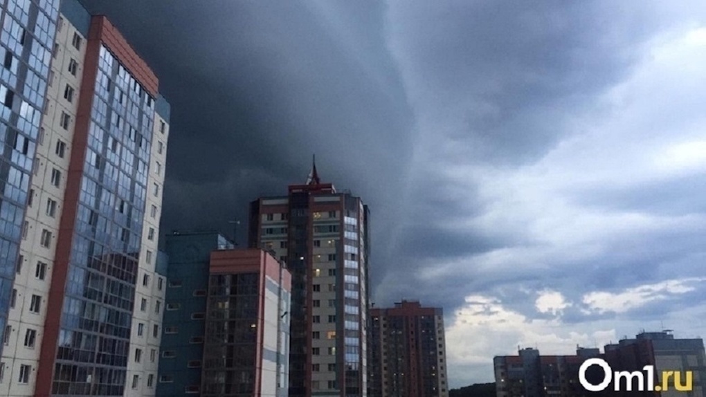 Срывает крыши и валит деревья: мощный штормовой ветер надвигается на Новосибирскую область