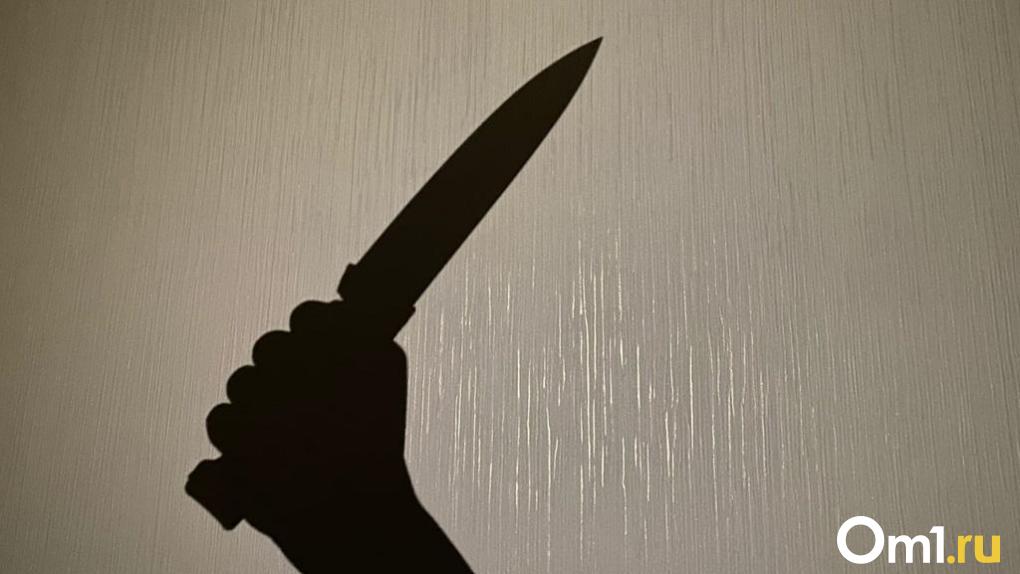 Не менее 19 ножевых: в Омской области двое мужчин напали ночью на своего соседа