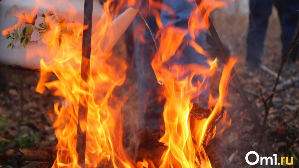 Омские пожарные за неделю потушили 70 возгораний