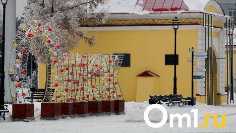 Февральская оттепель в Омске сменится морозами: синоптики назвали дату