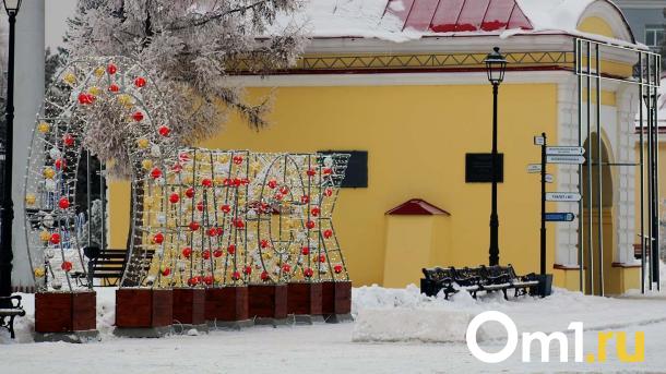 Февральская оттепель в Омске сменится морозами: синоптики назвали дату