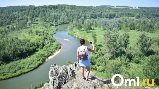 В Омской области клещи покусали уже 995 человек