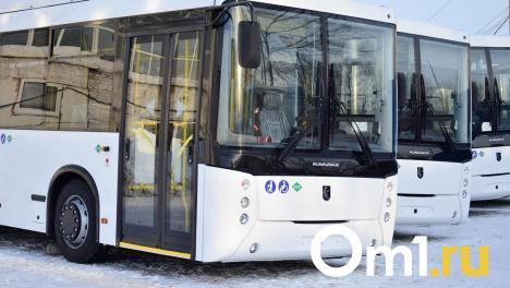 Проблемы с общественным транспортом в Омске объяснили мобилизацией