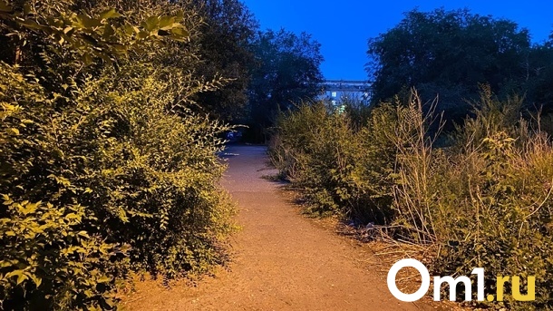 Затащил в кусты? Новосибирца подозревают в нападении на 6-летнюю девочку