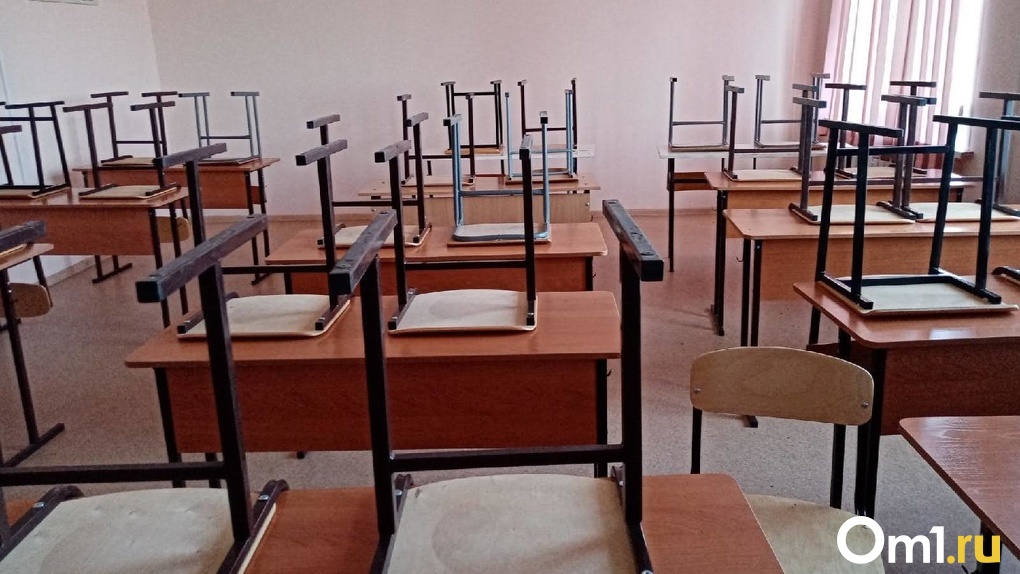 Под Новосибирском учителя вновь уволили после восстановления в должности на работе