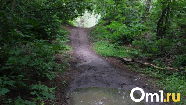 Отец погибшей в Омске школьницы из Москвы рассказал о расследовании дела