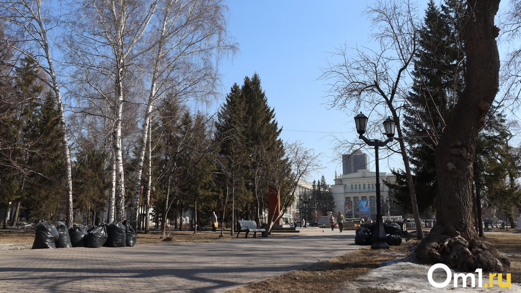 В Новосибирске прошёл общегородской субботник — показываем, насколько стали чище улицы
