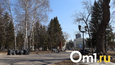 В Новосибирске прошёл общегородской субботник — показываем, насколько стали чище улицы