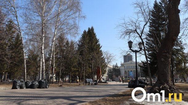 В Новосибирске прошёл общегородской субботник — показываем, насколько стали чище улицы