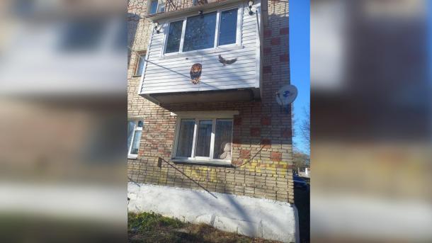 Отделался штрафом. Омский суд наказал мужчину, зверски убившего собаку