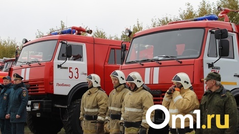 На Левобережье Омска вновь разгорелись два пожара