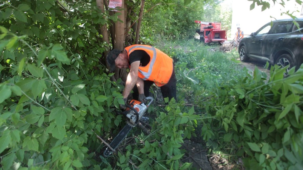 В Хилокском микрорайоне Новосибирска завершён первый этап благоустройства