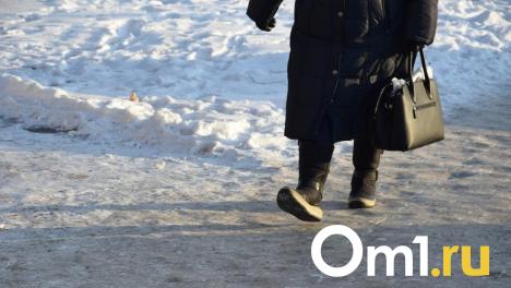 Толкнул и украл сумку: в Омске задержали рецидивиста, напавшего на прохожую