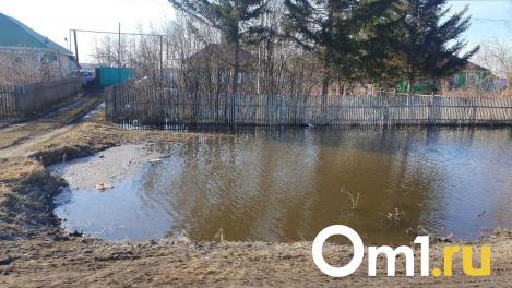 Эколог рассказал, почему в Омске сохраняется высокий уровень грунтовых вод