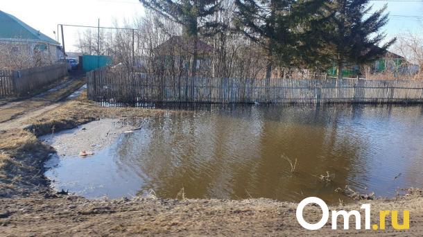 Эколог рассказал, почему в Омске сохраняется высокий уровень грунтовых вод